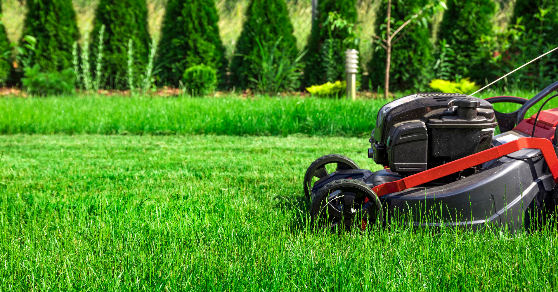 A beautiful lawn